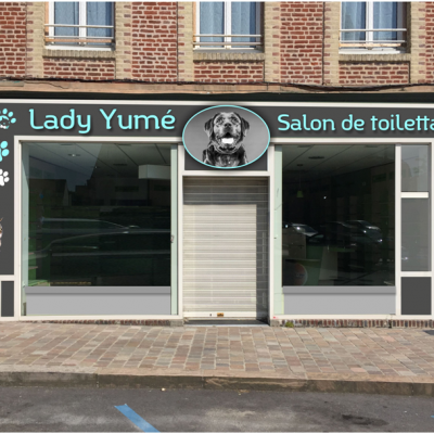 Lady yume