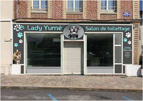 Lady yume